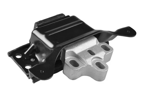 Variklio montavimas TEDGUM TED36076