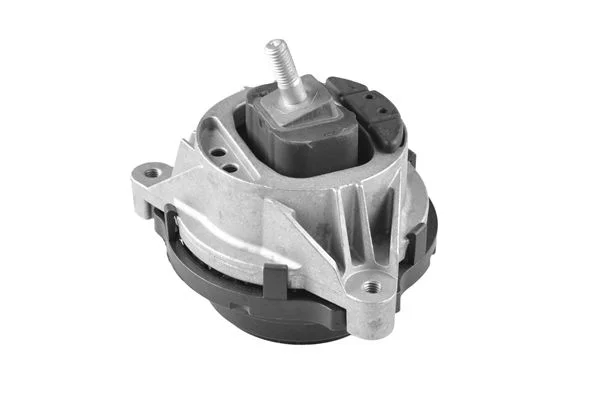 Variklio montavimas TEDGUM TED36524