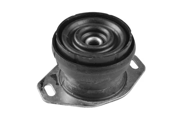 Variklio montavimas TEDGUM TED36590