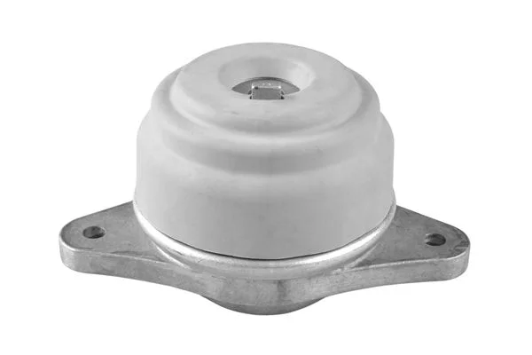 Variklio montavimas TEDGUM TED36858