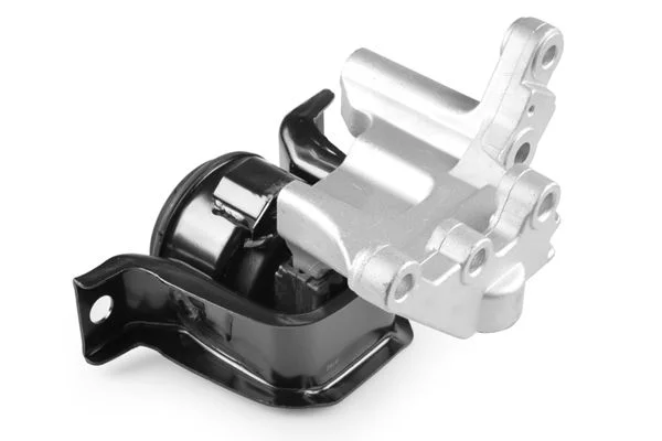 Variklio montavimas TEDGUM TED37791