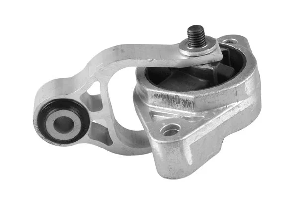 Variklio montavimas TEDGUM TED38615
