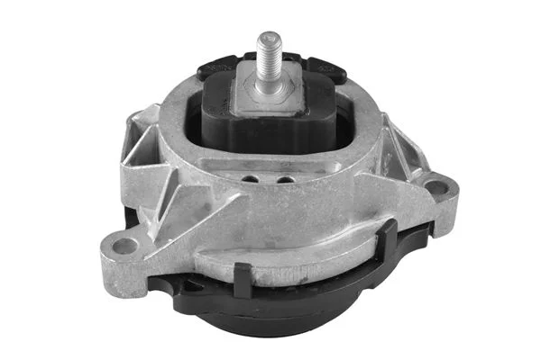 Variklio montavimas TEDGUM TED38660