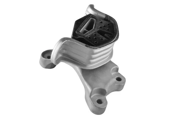 Variklio montavimas TEDGUM TED39037