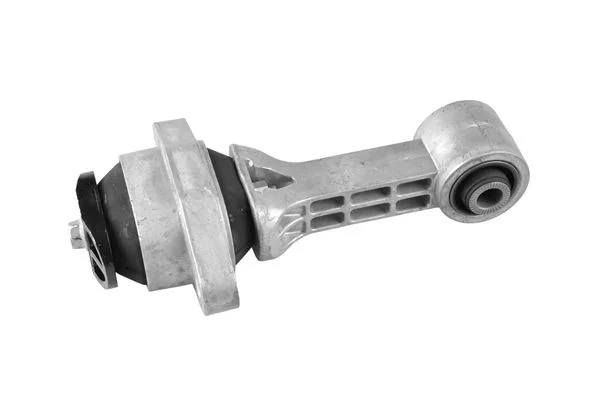 Variklio montavimas TEDGUM TED39068