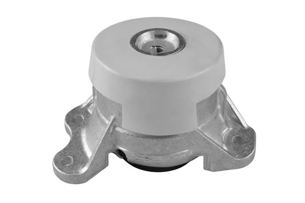 Variklio montavimas TEDGUM TED40269