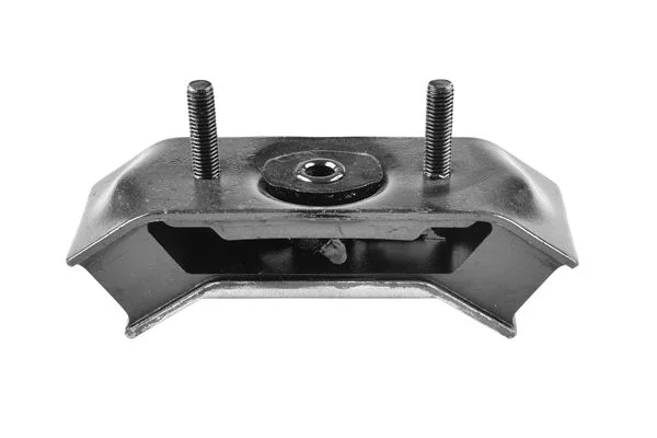 Variklio montavimas TEDGUM TED40282