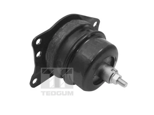Variklio montavimas TEDGUM TED40385