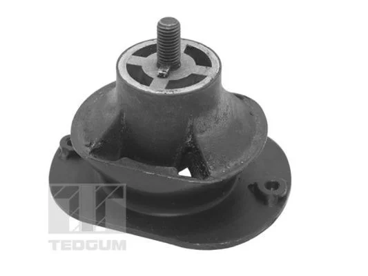 Variklio montavimas TEDGUM TED40521
