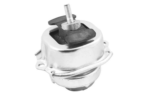 Variklio montavimas TEDGUM TED41757