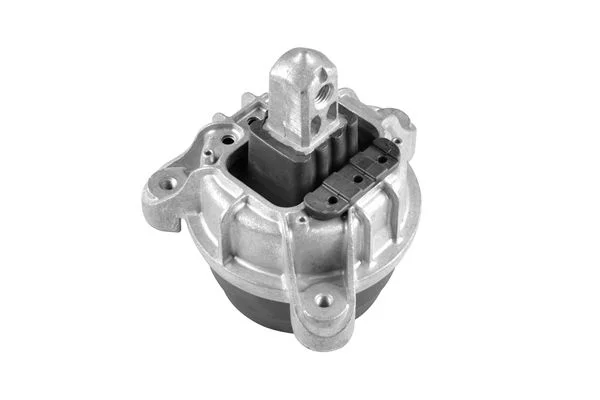 Variklio montavimas TEDGUM TED42513