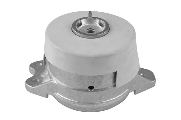Variklio montavimas TEDGUM TED42670
