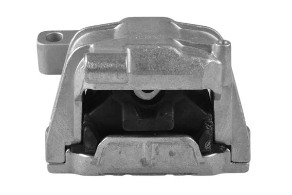 Variklio montavimas TEDGUM TED42892