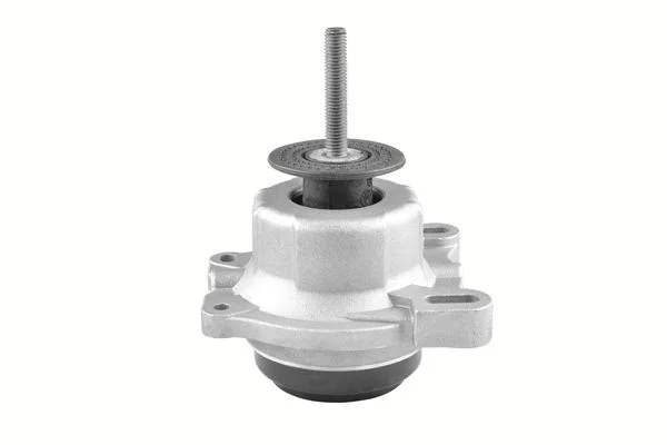 Variklio montavimas TEDGUM TED44719