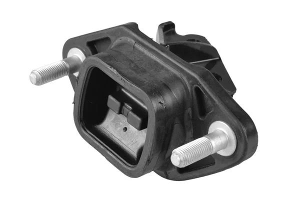 Variklio montavimas tedgum TED46520