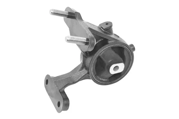 Variklio montavimas TEDGUM TED47043