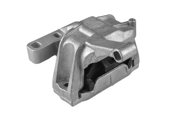 Variklio montavimas TEDGUM TED47420