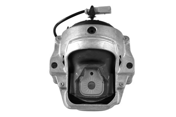 Variklio montavimas TEDGUM TED47943