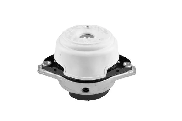 Variklio montavimas TEDGUM TED48294