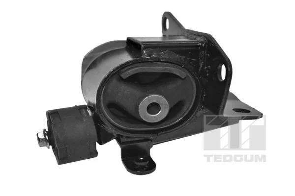 Variklio montavimas TEDGUM TED49093