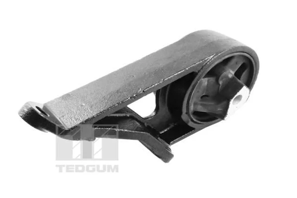 Variklio montavimas TEDGUM TED49330