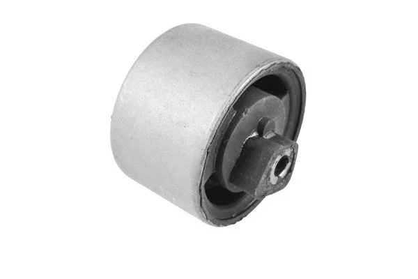 Variklio montavimas TEDGUM TED49990