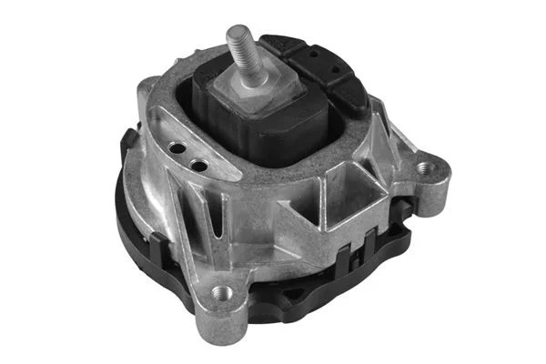 Variklio montavimas TEDGUM TED52401