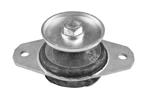 Variklio montavimas TEDGUM TED53713
