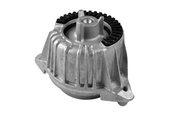 Variklio montavimas TEDGUM TED53841