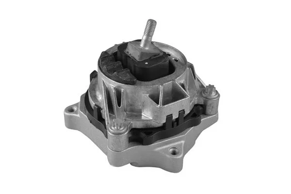 Variklio montavimas TEDGUM TED56344