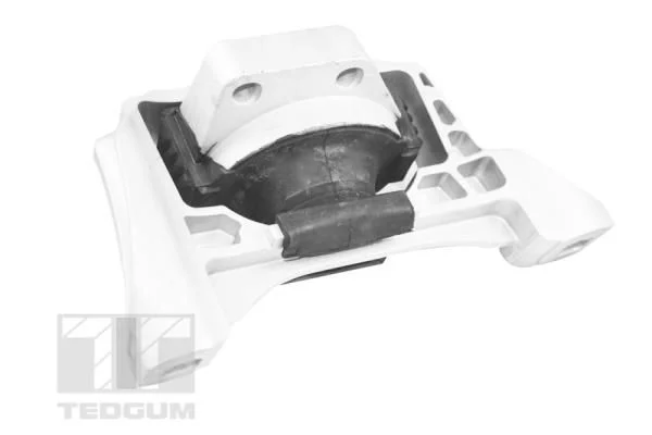 Variklio montavimas TEDGUM TED57572