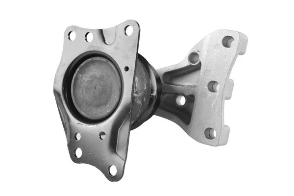 Variklio montavimas TEDGUM TED57991