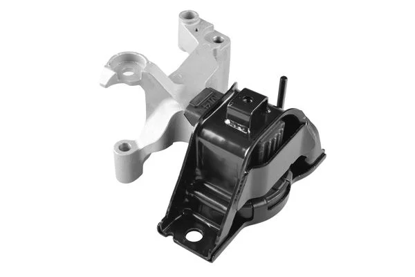Variklio montavimas TEDGUM TED58330