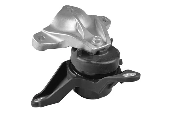 Variklio montavimas TEDGUM TED60245