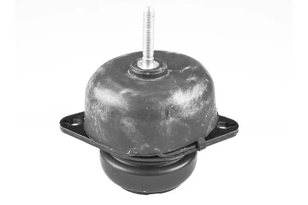 Variklio montavimas TEDGUM TED61733