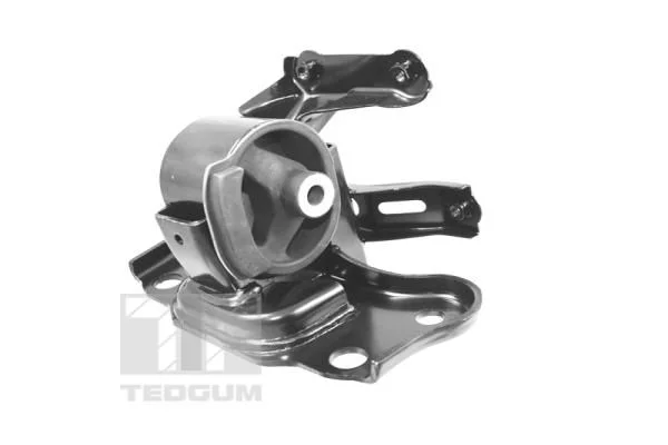 Variklio montavimas TEDGUM TED62230