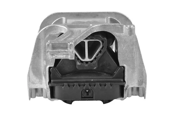 Variklio montavimas TEDGUM TED63741