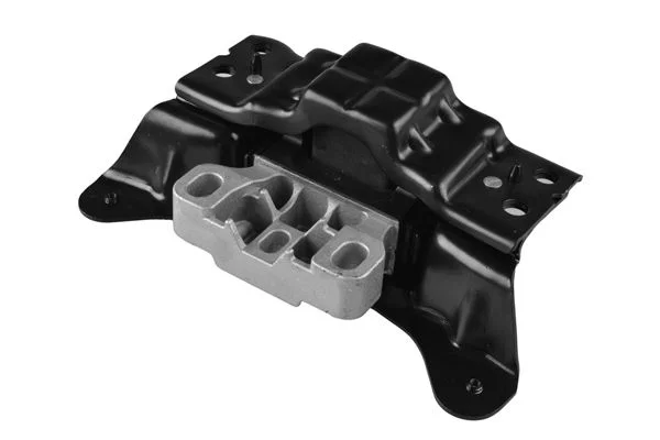 Variklio montavimas TEDGUM TED64130