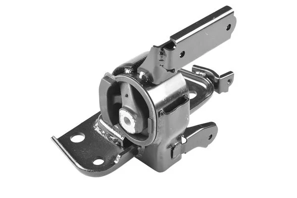Variklio montavimas TEDGUM TED64330