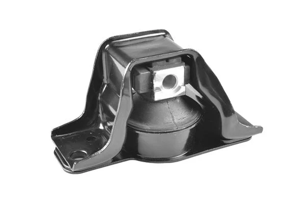 Variklio montavimas TEDGUM TED65965