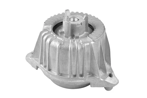 Variklio montavimas TEDGUM TED68380