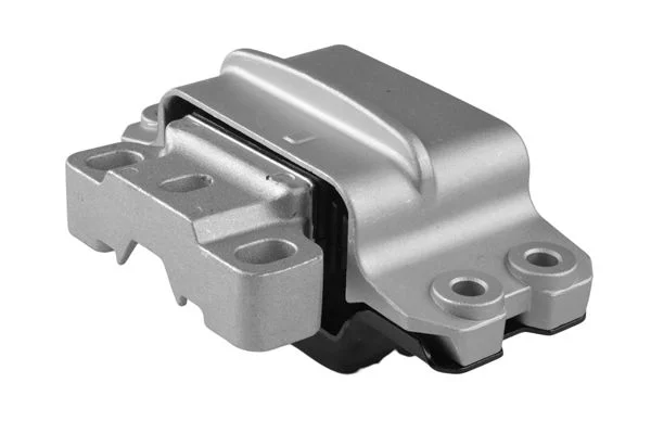 Variklio montavimas TEDGUM TED70109