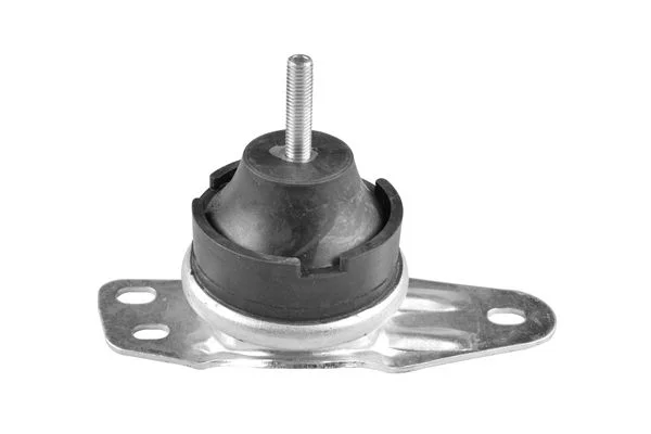 Variklio montavimas TEDGUM TED72410