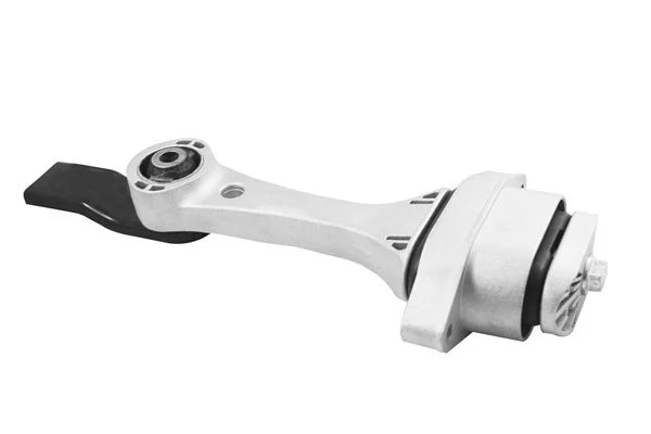 Variklio montavimas TEDGUM TED77620