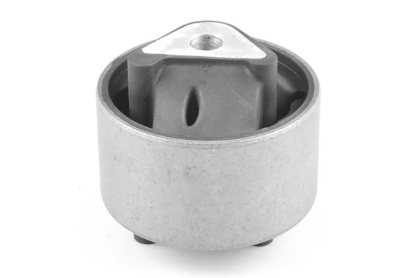 Variklio montavimas TEDGUM TED79463