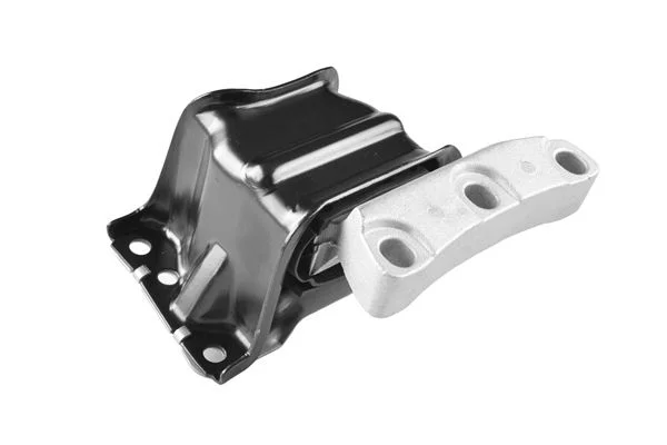 Variklio montavimas TEDGUM TED80493