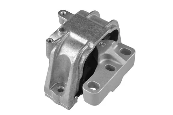 Variklio montavimas TEDGUM TED83733