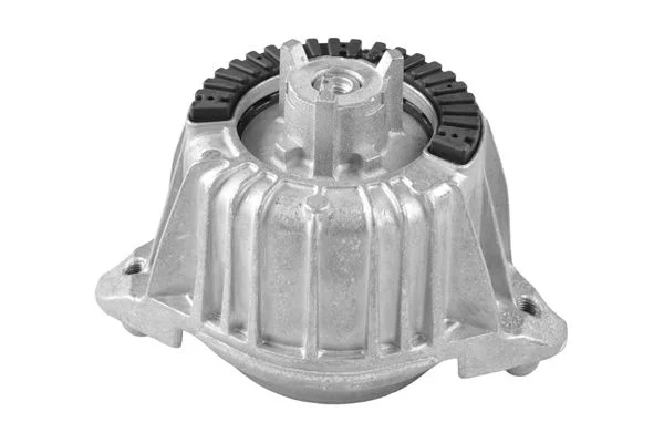 Variklio montavimas TEDGUM TED83830