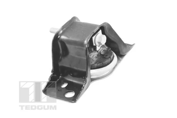 Variklio montavimas TEDGUM TED84297