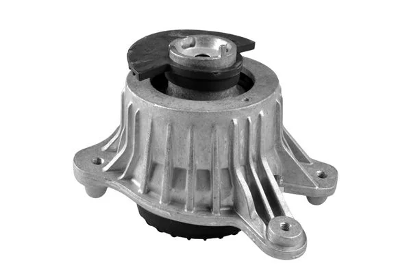 Variklio montavimas TEDGUM TED84941